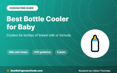 Best Bottle Cooler for Baby 2026: 6 Picks for Milk and Formula