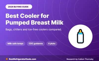 Best Cooler for Pumped Breast Milk 2026: Bags vs Chillers, 6 Picks