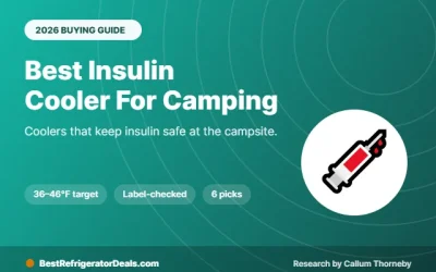 Best Insulin Cooler for Camping 2026: No-Ice, 12V and Solar Picks