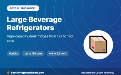 Best Large Beverage Refrigerator: 6 Picks Holding 127 to 180 Cans