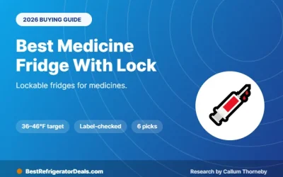Best Medicine Fridge With Lock 2026: 6 Secure Picks Compared