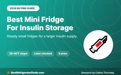 Best Mini Fridge for Insulin Storage: 6 Picks for a Month or More