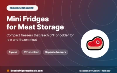 Best Mini Fridge With Freezer for Meat: 6 Picks That Freeze Solid