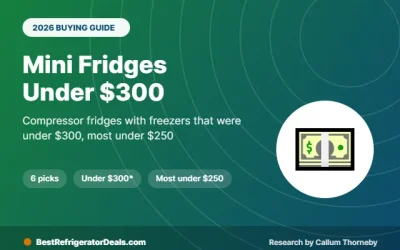 Best Mini Fridge With Freezer Under 300 (and Under 250) in 2026