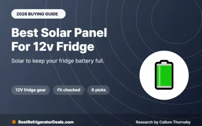 Best Solar Panel for 12V Fridge Setups: 6 Panels and Kits Compared