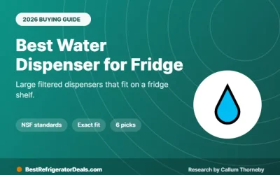 Best Water Dispenser for Fridge Shelves 2026: 6 Filtered Picks